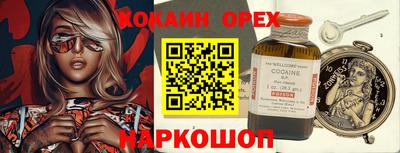 кокс Кандалакша