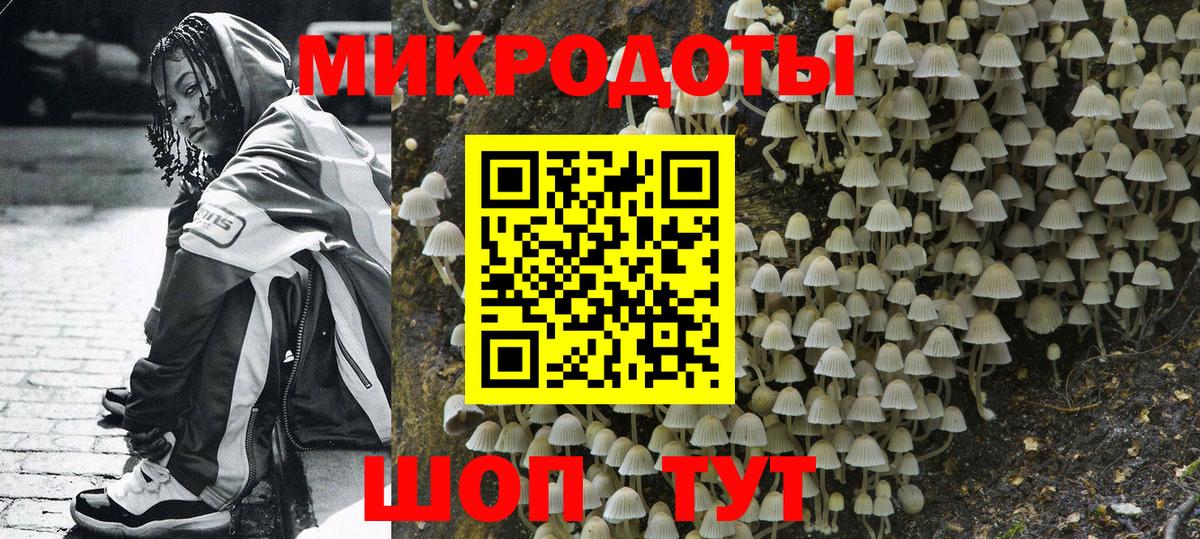 Псилоцибиновые грибы мицелий  Вход с VPN  Мурино 